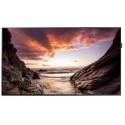 Monitor SAMSUNG LH43PHFPBGC/GO PH43F 43" 1920 x 1080 Borde LED USB HDMI DVI En Serie LAN