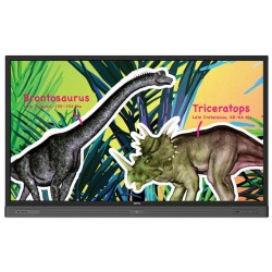 Monitor Interactivo BENQ RP704K 9H.F3JTC.DE1 LED 70" UltraHD Android 5.1 Touch 18/7 HDMI USB