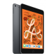 Ipad Mini Apple MUXC2LZ/A 5 Wi-Fi + Celular 256GB Gris Espacial