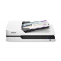 Epson DS-1630 1200 x 1200 DPI Escáner con alimentador automático de documentos (ADF) Negro, Blanco A4