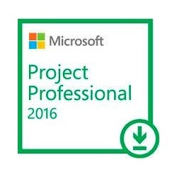 Open business project pro 2019 w1prjct svr cal sngl olp nl