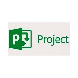 Open gobierno project pro 2019 w1prjct svr cal sngl olp nl