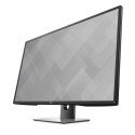Monitor Dell Ultra HD 4K P4317Q - 42.5" - 3840x2160 - DisplayPort - HDMI - Mini DisplayPort - USB
