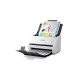 Epson WorkForce DS-530 II Escáner con alimentador automático de documentos (ADF) 1200 x 1200 DPI Blanco
