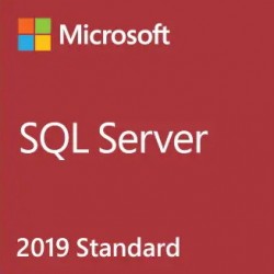 Microsoft SQL Server 2019 Standard 1 licencia(s)