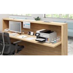 Canon MAXIFY GX6010 Inyección de tinta A4 600 x 1200 DPI 45 ppm Wifi