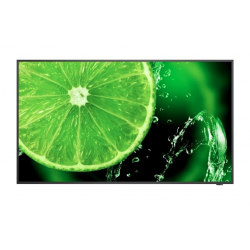 Monitor NEC E438 LCD 43" 3,50 Nit 16/7 horas