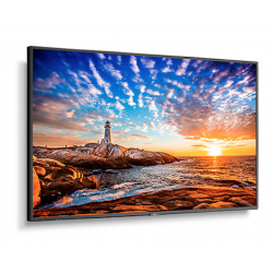 Monitor NEC E438 LCD 43" 3,50 Nit 16/7 horas