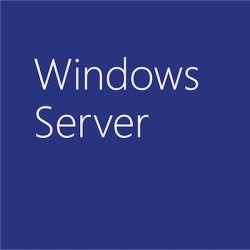 Microsoft Windows Server Standard 2019, OLP Open License Plurilingüe