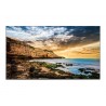 Samsung LH50QETELGCXGO pantalla de señalización Pantalla plana para señalización digital 127 cm (50") LED 300 cd / m