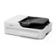 Epson DS-1730 Escáner plano y alimentador automático de documentos (ADF, Automatic Document Feeder) 1200 x 1200 DPI A4